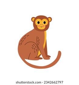 Vector picture of cute monkey isolated on white background.