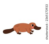 Vector picture of cute platypus isolated on white background.