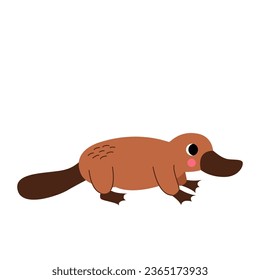 Vector picture of cute platypus isolated on white background.