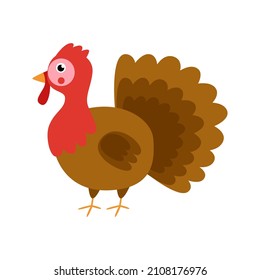 Vector picture of cute turkey isolated on white background.