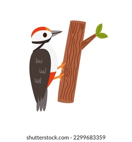 Imagen vectorial de un lindo pájaro carpintero aislado en el fondo blanco.