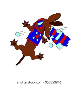 Vector picture dachshund chasing snowballs in the winter on a white background.