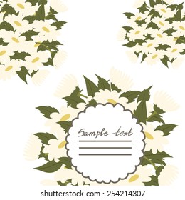Vector picture with daisies