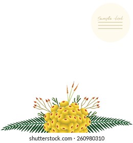 Vector picture with different flowers