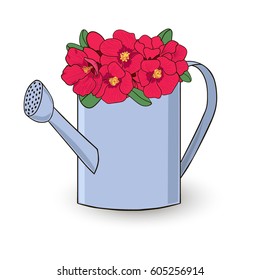 Vector picture of floral composition bright flower blossom in the watering can on the white background.