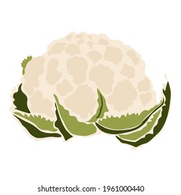 Imagen vectorial de coliflor fresca sobre un fondo blanco aislado.