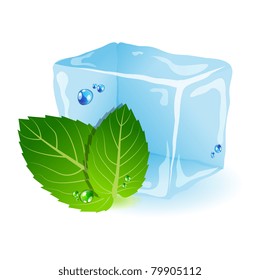 Vector Picture With Ice And Mint Leaf