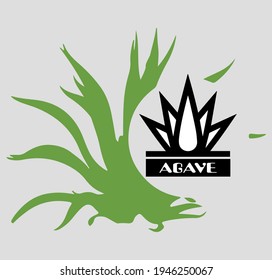 VECTOR PICTURE logo tequila. Agave, Mexican Tequila Distillery 