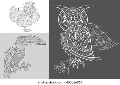 Vector picture mandarin duck, toucan, owl. Set of abstract birds illustrations. Black and white. The concept of unusual design objects of nature.