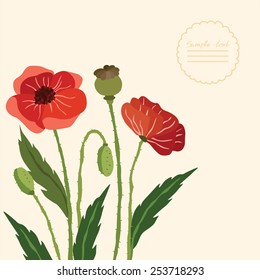Vector picture with poppy flowers