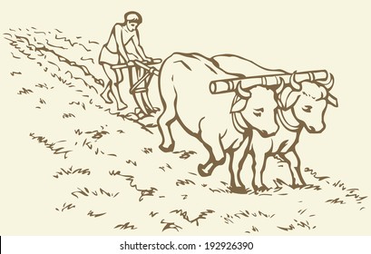 Vector picture. Primitive agriculture ancient Asian and African world: Egypt, Assyria, Babylon, India, China. Young servant on a pair of oxen-drawn plow grassy virgin soil for sowing wheat seeds