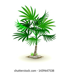 Vector picture shows lush cabbage-palm surrounded by green grass and grey rocks cartoon style