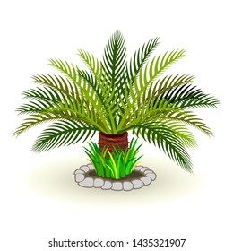 Vector picture shows lush dypsis lutescens palm tree surrounded by green grass and rocks cartoon style