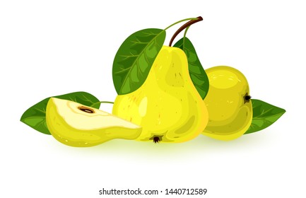 Vector picture shows ripe juicy yellow pears with cut slice and green leaves cartoon isolated illustration