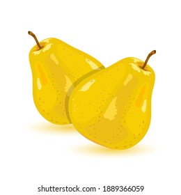 Vector picture shows ripe juicy yellow pears with cut slice and green leaves cartoon isolated illustration