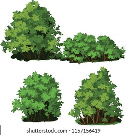 Vector Picture Of A Shrub As A Design Element.