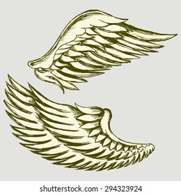 Vector picture of two angel wings