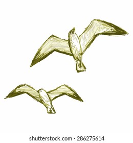 Vector picture of two seagulls flying in the sky