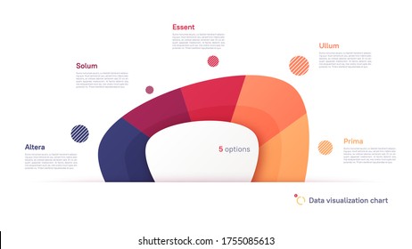 Vector pie chart infographic template in the form of abstract shape divided by five parts.