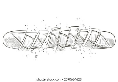 Vector Pieces of sliced baguette. White long loaf French baked bread. Slices and crumbs. Logo, icon. Sketch realistic line vintage illustration. Top view