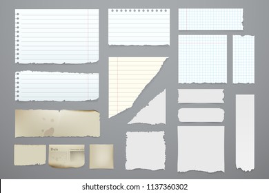 Vector pieces of torn notebook. Torn pieces of paper set. White blank paper sheets in a cage, in a line and aged. Elements for you design. Eps 10