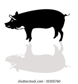 Vector pig