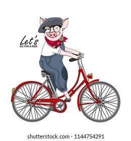 Vector pig with a bike. Hand drawn illustration of dressed piggy. 