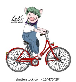 Vector pig with a bike. Hand drawn illustration of dressed piggy. 