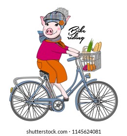 Vector pig with a bike. Hand drawn illustration of dressed piggy. 5