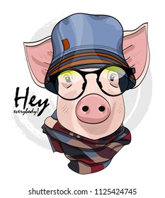 Vector pig with black glasses, blue hat and scarf. Hand drawn illustration of dressed piggy.