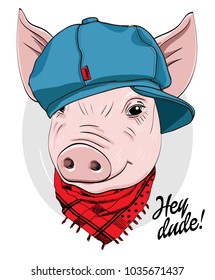 Vector pig with blue cap and scarf. Hand drawn illustration of dressed piggy. 