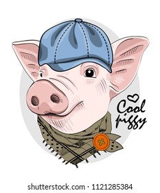 Vector pig with blue cap and scarf. Hand drawn illustration of dressed piggy.