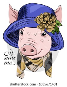 Vector pig with blue hat and scarf. Hand drawn illustration of dressed piggy. 