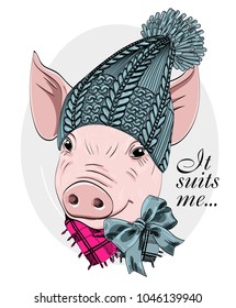 Vector pig with blue knitted hat and bow. Hand drawn illustration of dressed piggy. 