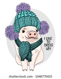 Vector pig with blue knitted hat and scarf. Hand drawn illustration of dressed piggy. 