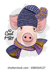 Vector pig with blue knitted hat and knitted scarf. Hand drawn illustration of dressed piggy. 
