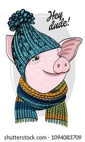 Vector pig with blue knitted hat and scarf. Hand drawn illustration of dressed piggy.