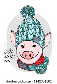 Vector pig with blue knitted hat and knitted scarf. Hand drawn illustration of dressed piggy.