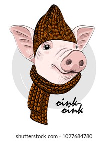Vector pig with brown  knitted hat and scarf. Hand drawn illustration of dressed piggy.