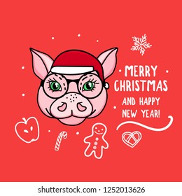 Vector Pig character symbol of the year with glasses. Merry Christmas. Card with cute animal head isolated on red. Holiday hand drawn design
