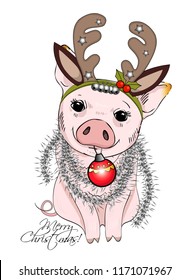 Vector pig with christmas horns of a deer. Hand drawn illustration of dressed piggy with red christmas ball and tinsel. Merry Christmas.