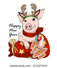 Vector pig with christmas horns of a deer and red scarf. Hand drawn illustration of dressed piggy with Christmas gingerbread and presents. Happy New Year. 
