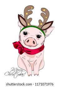 Vector pig with christmas horns of a deer and red scarf. Hand drawn illustration of dressed piggy. Merry Christmas.