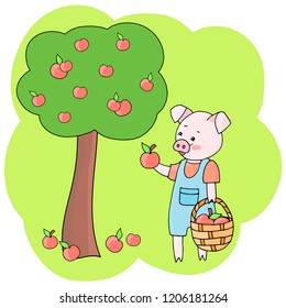 Vector pig in the garden collects red apples in a basket at the end of summer