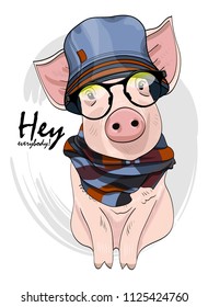 Vector pig with glasses, blue hat and scarf. Hand drawn illustration of dressed piggy.