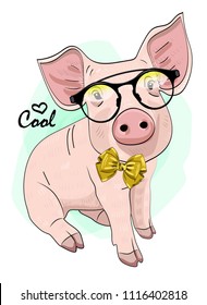 Vector pig with glasses and bow. Hand drawn illustration of dressed piggy.