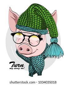 Vector pig with glasses, green knitted hat and green scarf. Hand drawn illustration of dressed piggy. 