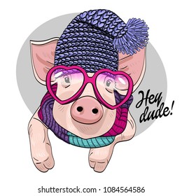 Vector pig with glasses, violet knitted hat and scarf. Hand drawn illustration of dressed piggy. 
