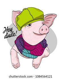 Vector pig with green cap and knitted  scarf. Hand drawn illustration of dressed piggy. 

