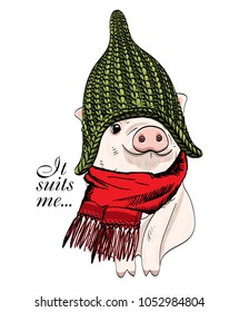 Vector pig with green knitted and hat with rabbit ears and scarf. Hand drawn illustration of dressed pig.
